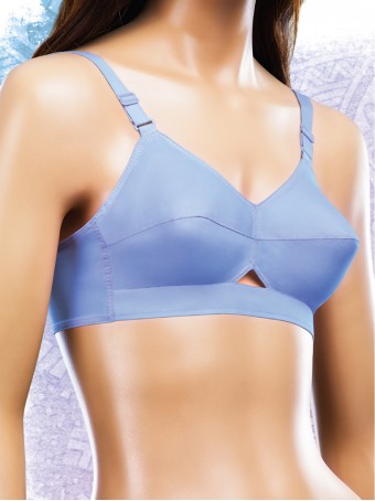 Aswati women's cotton Queen bra slip (pack of 20 - blue & light blue-30B