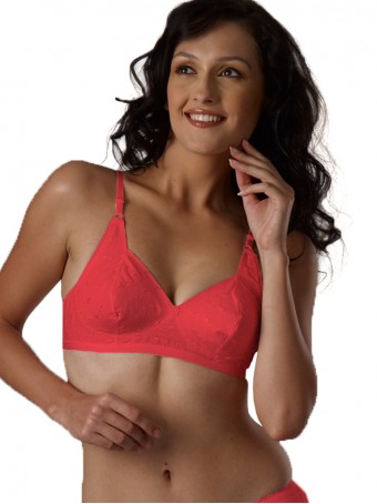 Buy Angelform Sparkle Laced Balconette Bra (32B to 40B) Online