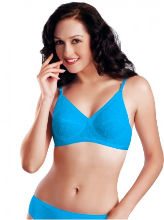 Lycra Cotton Push Up Bra And Panties, Embroidered at Rs 350/set in